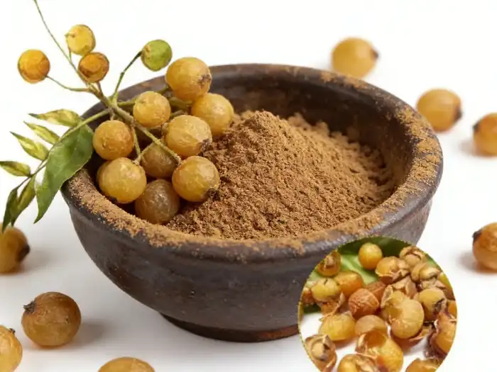 Why Soapnut Extract Is Gaining Popularity in Green Products?
